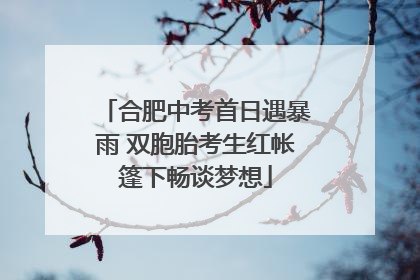合肥中考首日遇暴雨 双胞胎考生红帐篷下畅谈梦想