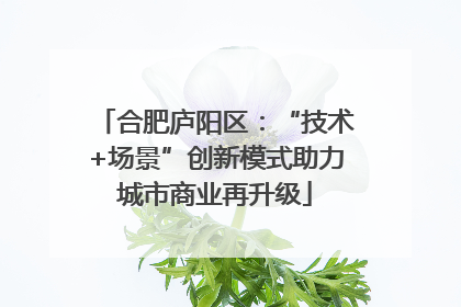 合肥庐阳区：“技术+场景”创新模式助力城市商业再升级
