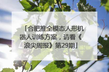 合肥推全模态人形机器人训练方案，请看《浪尖周报》第29期