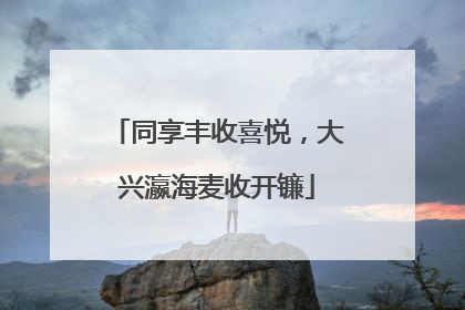 同享丰收喜悦，大兴瀛海麦收开镰