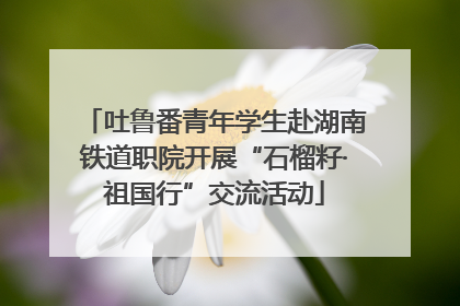 吐鲁番青年学生赴湖南铁道职院开展“石榴籽·祖国行”交流活动