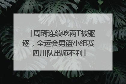 周琦连续吃两T被驱逐，全运会男篮小组赛四川队出师不利