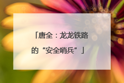 唐全：龙龙铁路的“安全哨兵”