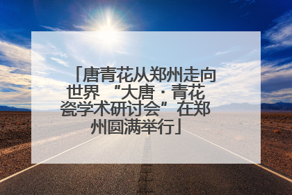 唐青花从郑州走向世界 “大唐・青花瓷学术研讨会”在郑州圆满举行