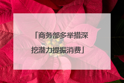 商务部多举措深挖潜力提振消费
