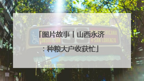 图片故事丨山西永济：种粮大户收获忙