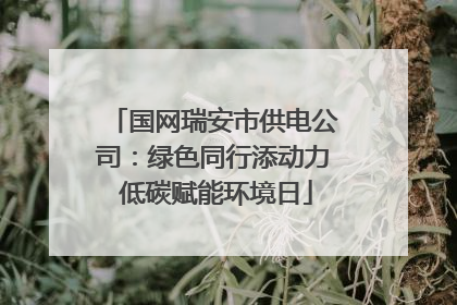 国网瑞安市供电公司：绿色同行添动力 低碳赋能环境日