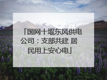 国网十堰东风供电公司：支部共建 居民用上安心电