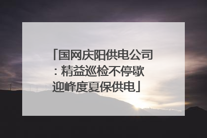 国网庆阳供电公司：精益巡检不停歇 迎峰度夏保供电