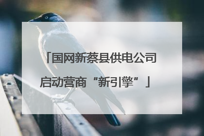 国网新蔡县供电公司启动营商“新引擎”
