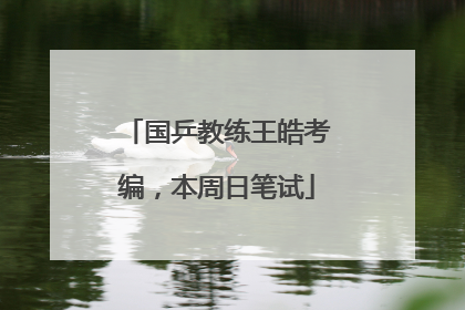 国乒教练王皓考编，本周日笔试