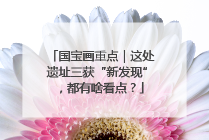 国宝画重点｜这处遗址三获“新发现”，都有啥看点？