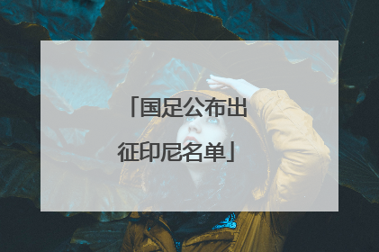 国足公布出征印尼名单