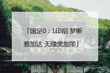 国足0∶1印尼 梦断雅加达 无缘美加墨