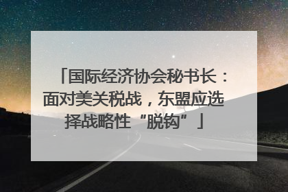 国际经济协会秘书长：面对美关税战，东盟应选择战略性“脱钩”