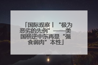 国际观察丨“极为恶劣的先例”——美国横逆中东再显“强食弱肉”本性