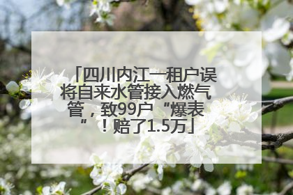 四川内江一租户误将自来水管接入燃气管，致99户“爆表”！赔了1.5万