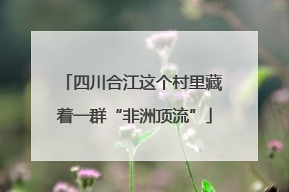 四川合江这个村里藏着一群“非洲顶流”