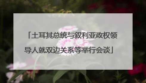 土耳其总统与叙利亚政权领导人就双边关系等举行会谈
