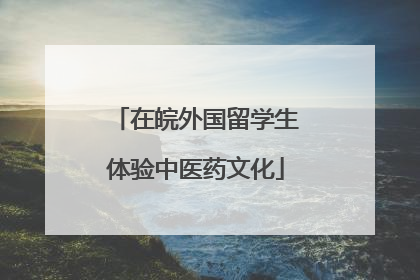 在皖外国留学生体验中医药文化