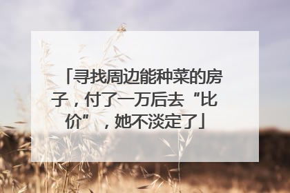 寻找周边能种菜的房子，付了一万后去“比价”，她不淡定了