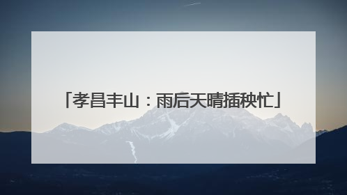 孝昌丰山：雨后天晴插秧忙