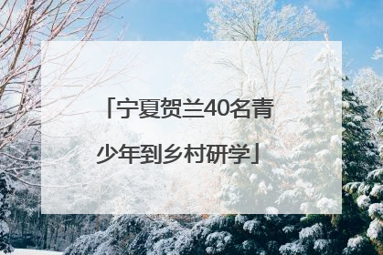 宁夏贺兰40名青少年到乡村研学