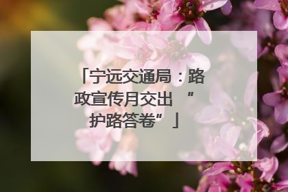 宁远交通局：路政宣传月交出 “护路答卷”