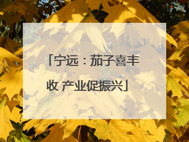宁远：茄子喜丰收 产业促振兴