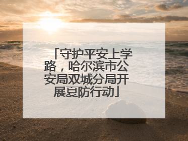 守护平安上学路，哈尔滨市公安局双城分局开展夏防行动