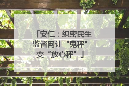安仁：织密民生监督网让“鬼秤”变“放心秤”