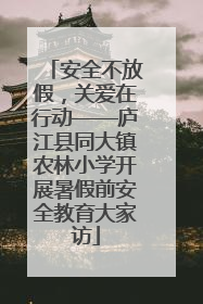 安全不放假，关爱在行动——庐江县同大镇农林小学开展暑假前安全教育大家访