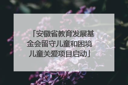 安徽省教育发展基金会留守儿童和困境儿童关爱项目启动