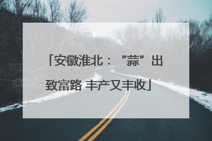 安徽淮北：“蒜”出致富路 丰产又丰收