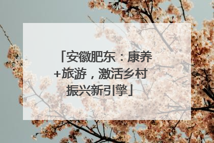 安徽肥东：康养+旅游，激活乡村振兴新引擎