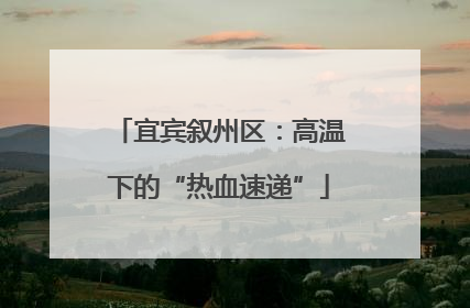 宜宾叙州区：高温下的“热血速递”