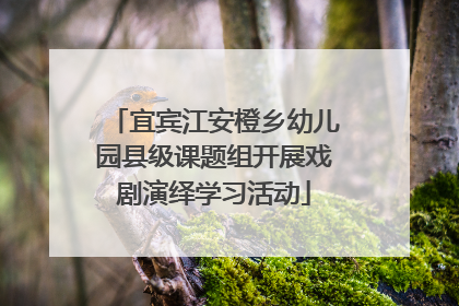 宜宾江安橙乡幼儿园县级课题组开展戏剧演绎学习活动
