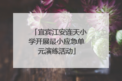 宜宾江安连天小学开展最小应急单元演练活动