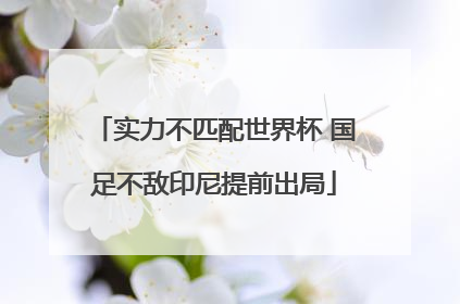 实力不匹配世界杯 国足不敌印尼提前出局