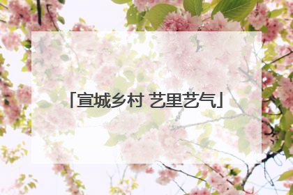 宣城乡村 艺里艺气