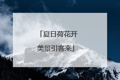 夏日荷花开 美景引客来