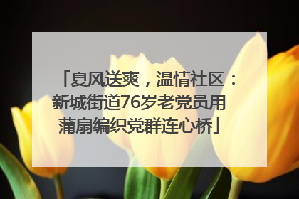 夏风送爽，温情社区：新城街道76岁老党员用蒲扇编织党群连心桥