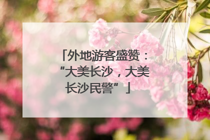 外地游客盛赞：“大美长沙，大美长沙民警”