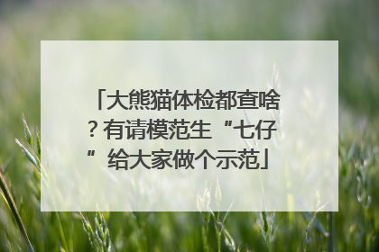 大熊猫体检都查啥？有请模范生“七仔”给大家做个示范