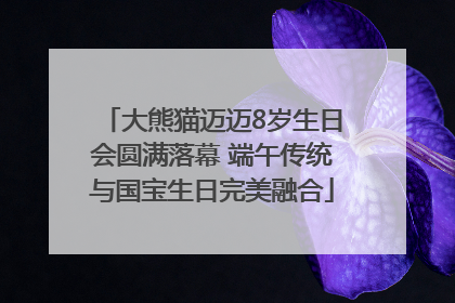 大熊猫迈迈8岁生日会圆满落幕 端午传统与国宝生日完美融合