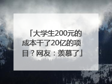 大学生200元的成本干了20亿的项目？网友：羡慕了