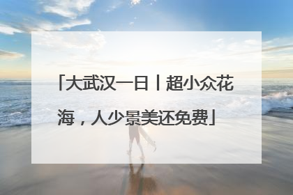 大武汉一日丨超小众花海，人少景美还免费