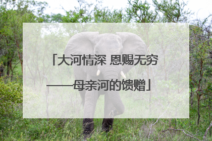 大河情深 恩赐无穷——母亲河的馈赠