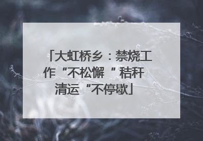 大虹桥乡：禁烧工作“不松懈“ 秸秆清运“不停歇