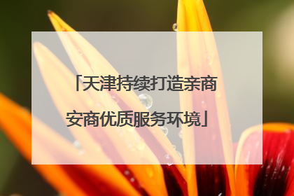 天津持续打造亲商安商优质服务环境